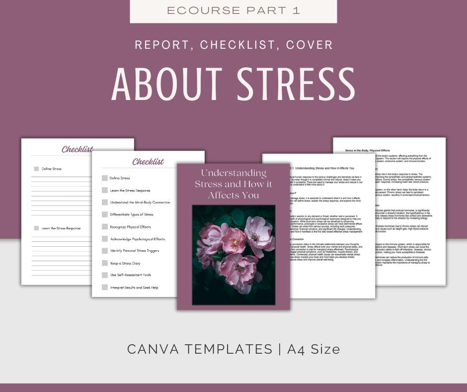 Stress Management | MEGA Content and Templates Bundle