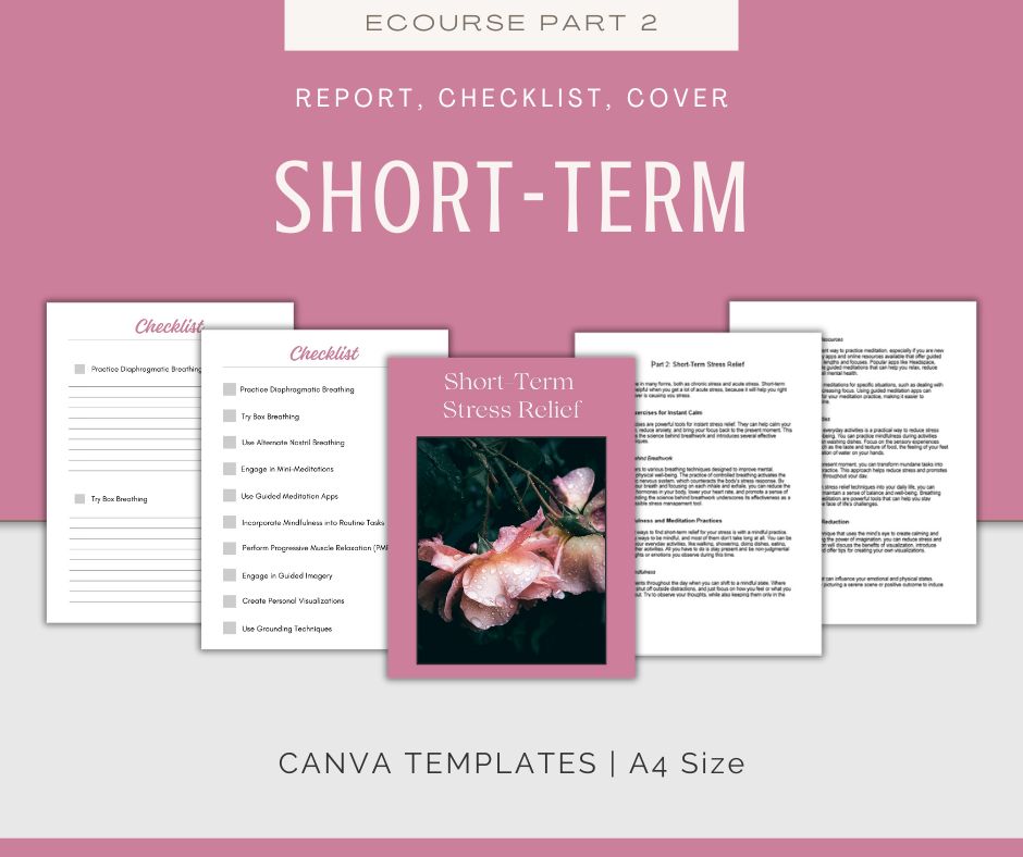 Stress Management | MEGA Content and Templates Bundle