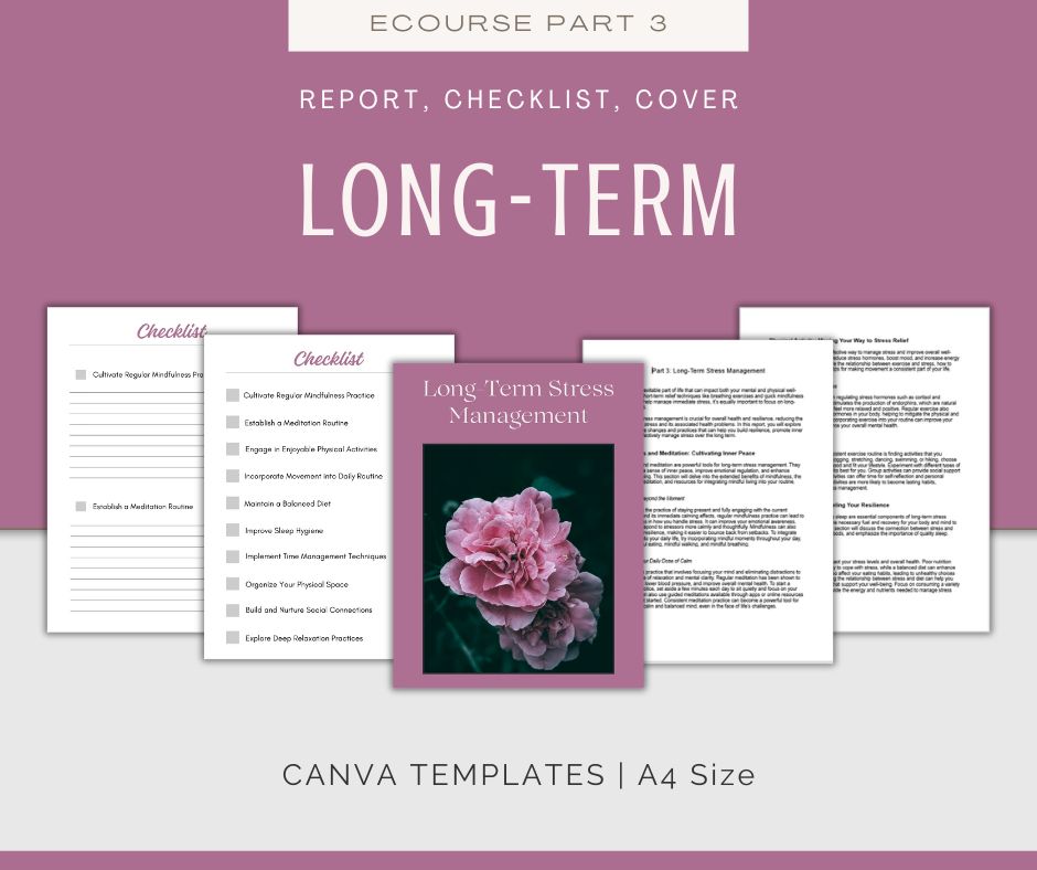 Stress Management | MEGA Content and Templates Bundle