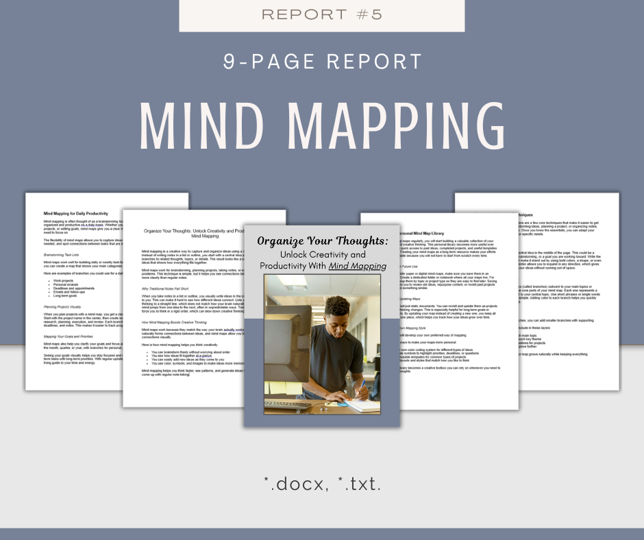 Productivity Techniques Reports | 5 Report Bundle