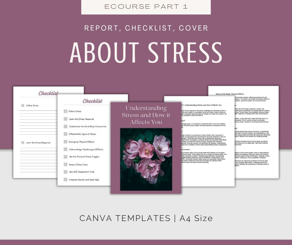 Stress Management | MEGA Content and Templates Bundle