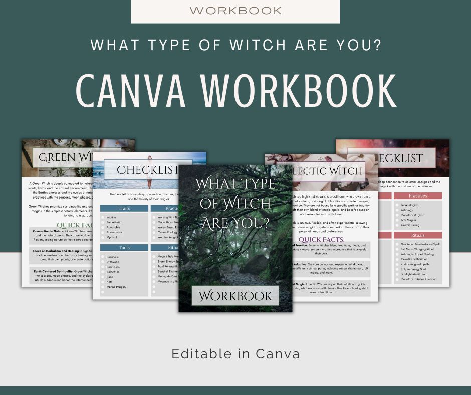 Types of Witches | Workbook, Guides, and Quiz