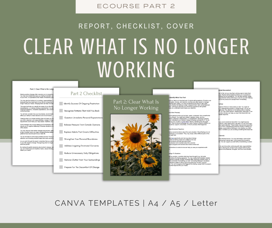 The Ultimate Life Reset | MEGA Content and Templates Bundle