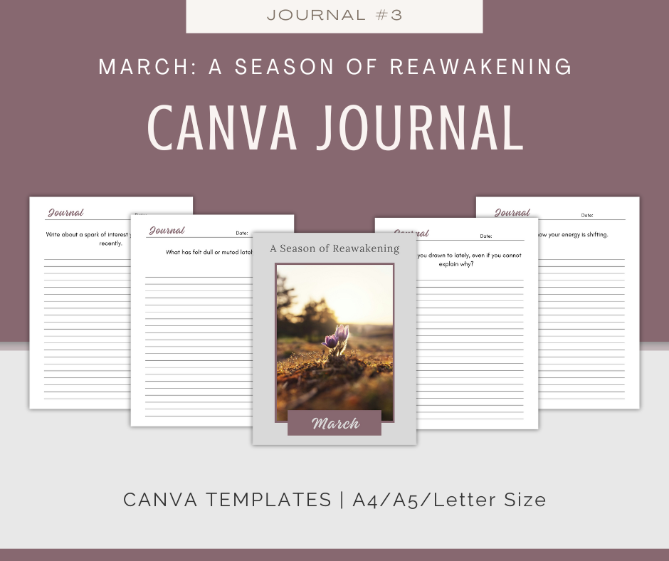Personal Seasons Journal Collection | 12 Journals