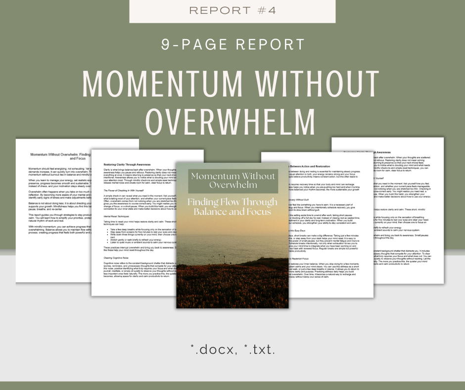 Mindful Momentum Reports | 5 Report Bundle